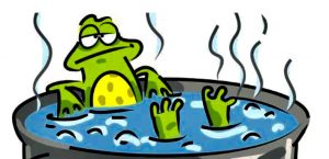 imagenes rana en olla